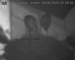 Capi_Dubne_20250414_222002.jpg
