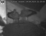 Capi_Dubne_20250414_222503.jpg
