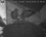 Capi_Dubne_20250414_223002.jpg