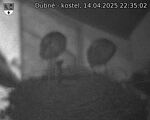 Capi_Dubne_20250414_223502.jpg