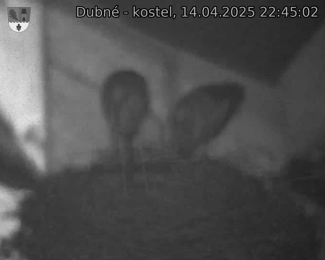 Capi_Dubne_20250414_224502.jpg (1350 x 1080)