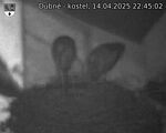 Capi_Dubne_20250414_224502.jpg