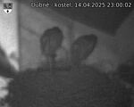 Capi_Dubne_20250414_230002.jpg