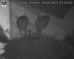 Capi_Dubne_20250414_231002.jpg