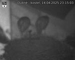 Capi_Dubne_20250414_231503.jpg