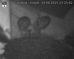 Capi_Dubne_20250414_232502.jpg