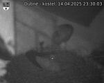 Capi_Dubne_20250414_233003.jpg