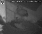 Capi_Dubne_20250414_234503.jpg