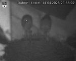Capi_Dubne_20250414_235502.jpg