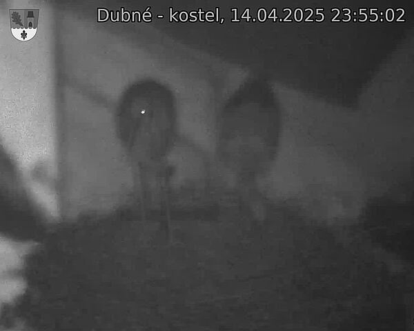 Capi_Dubne_20250414_235502.jpg (1350 x 1080)