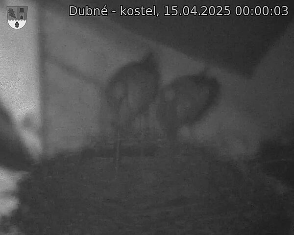 Capi_Dubne_20250415_000003.jpg (1350 x 1080)