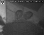 Capi_Dubne_20250415_000503.jpg