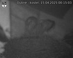 Capi_Dubne_20250415_001503.jpg