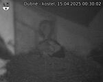 Capi_Dubne_20250415_003002.jpg