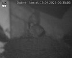 Capi_Dubne_20250415_003503.jpg