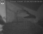 Capi_Dubne_20250415_005003.jpg