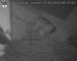 Capi_Dubne_20250415_005502.jpg