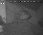 Capi_Dubne_20250415_011502.jpg