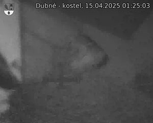 Capi_Dubne_20250415_012503.jpg (1350 x 1080)