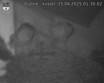 Capi_Dubne_20250415_013002.jpg