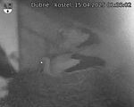 Capi_Dubne_20250415_013502.jpg