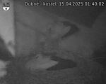 Capi_Dubne_20250415_014002.jpg