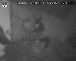 Capi_Dubne_20250415_021003.jpg