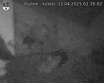 Capi_Dubne_20250415_022002.jpg