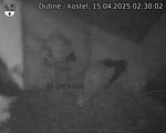 Capi_Dubne_20250415_023002.jpg