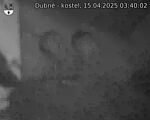 Capi_Dubne_20250415_034002.jpg