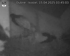 Capi_Dubne_20250415_034503.jpg (1350 x 1080)