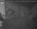 Capi_Dubne_20250415_042003.jpg