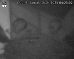 Capi_Dubne_20250415_042502.jpg