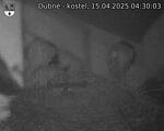 Capi_Dubne_20250415_043003.jpg