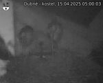Capi_Dubne_20250415_050003.jpg