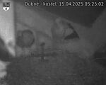 Capi_Dubne_20250415_052502.jpg