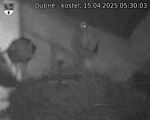 Capi_Dubne_20250415_053003.jpg