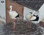 Capi_Dubne_20250415_070003.jpg