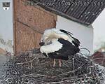 Capi_Dubne_20250415_071503.jpg