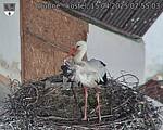 Capi_Dubne_20250415_075503.jpg
