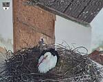 Capi_Dubne_20250415_082003.jpg