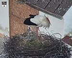 Capi_Dubne_20250415_085003.jpg