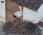 Capi_Dubne_20250415_090002.jpg