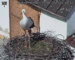 Capi_Dubne_20250415_110003.jpg
