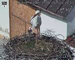 Capi_Dubne_20250415_112003.jpg