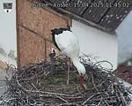 Capi_Dubne_20250415_114502.jpg