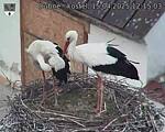 Capi_Dubne_20250415_121503.jpg