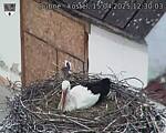 Capi_Dubne_20250415_123003.jpg