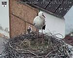 Capi_Dubne_20250415_123504.jpg