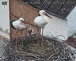 Capi_Dubne_20250415_125503.jpg